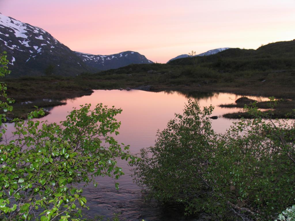 Hov Hyttegrend Viksdalen Exterior photo
