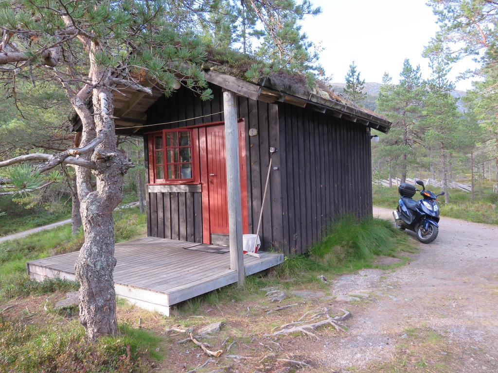 Hov Hyttegrend Viksdalen Exterior photo